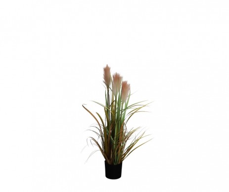 FOXTAIL POT PECHE H80XD45CM