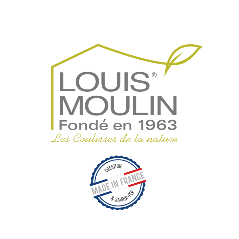 Louis Moulin