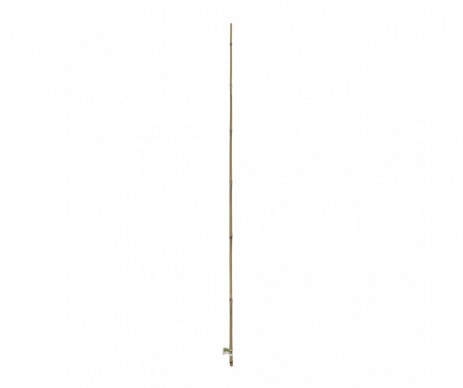 TUTEUR BAMBOU NATUREL H.2.10M