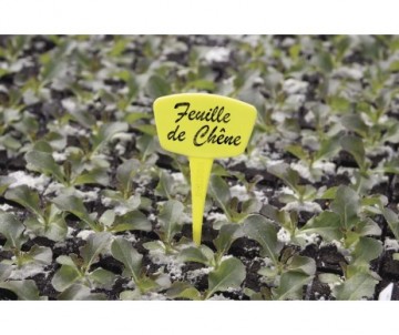 10 ETIQUETTES JAUNES 15CM