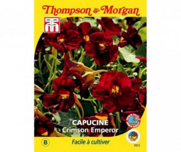CAPUCINE MAJUS CRIMSON EMPEROR
