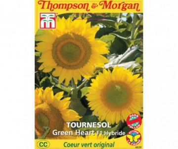 TOURNESOL GREEN HEART F1 GIANT