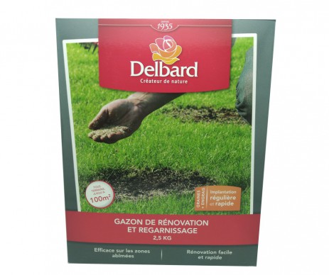 GAZON RENOVATION REGARNISSAGE DELBARD 2.5KG