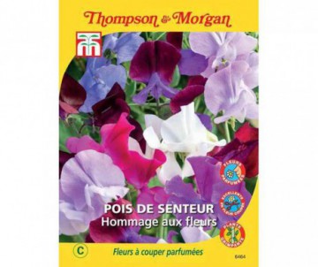 POIS DE SENTEUR HOMMAGE AUX FLEURS