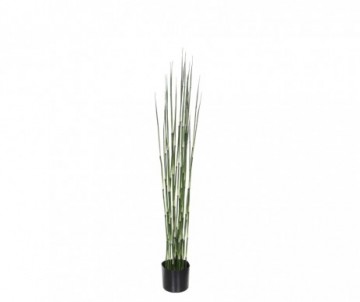 BAMBOU /POT VERT -H120XD15CM