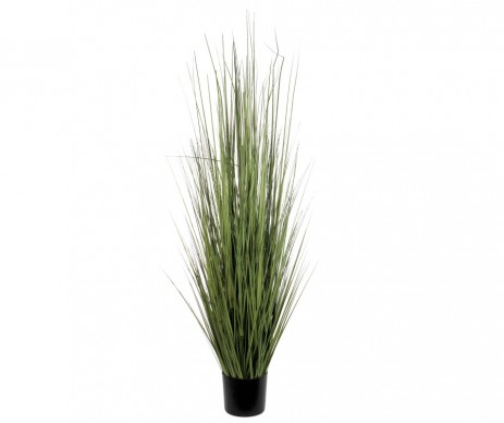 GRAS EN POT VERT H153XD50CM