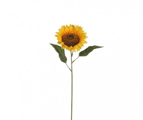 TOURNESOL 70CM