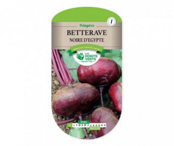 BETTERAVE NOIRE D'EGYPTE