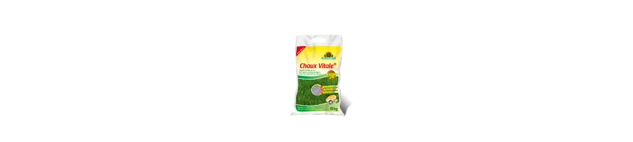 LES SPECIFIQUES