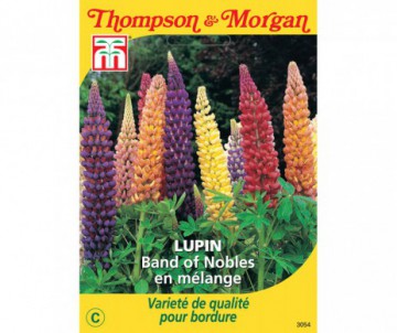 LUPIN BAND OF NOBLES EN MELANGE