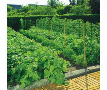 FILET A RAMER 2X5M