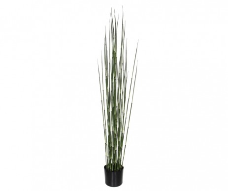 BAMBOU /POT VERT -H150XD17CM