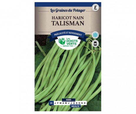 HARICOT NAIN TALISMAN 200GR