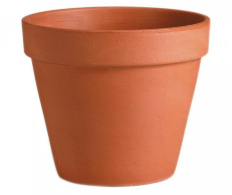 POT TERRE CUITE DIAMETRE 5CM