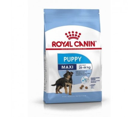 CROQUETTES MAXI JUNIOR 15KG ROYAL CANIN