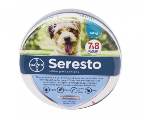 SERESTO COLLIER PETIT CHIEN ANTIPARASITAIRE BAYER