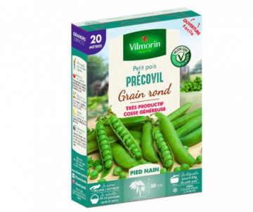 POIS PRECOVIL NAIN 20M VILMORIN