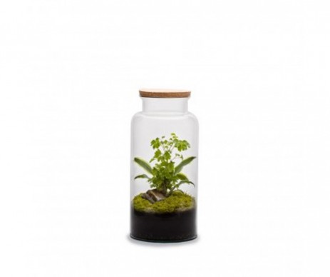 TERRA JUNGLE L