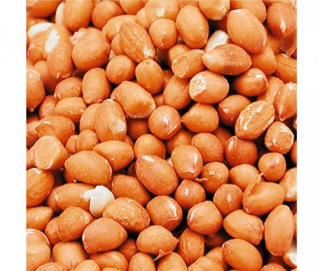 CACAHUETES DECORTIQUEES 5KG