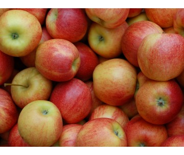 POMMES JONAGOLD SAC DE 5KG