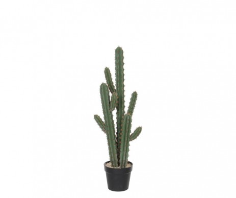 CACTUS /POT VERT-L39XB20XH95CM