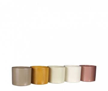 CP ROND ERA ASSORTI D13