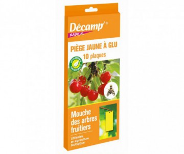 PEEGE GLU JAUNE X10 - DECAMP