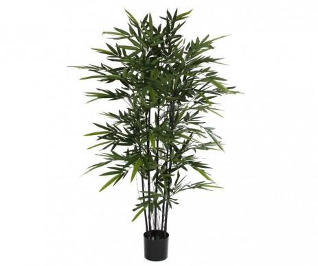 BAMBOU NOIR - H150XD75CM