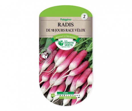 RADIS DE 18 JOURS RACE VELOX