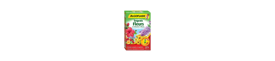 LES FLEURS