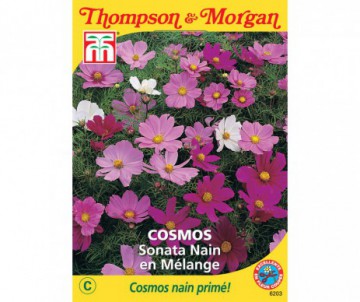 COSMOS SONATA NAIN EN MELANGE