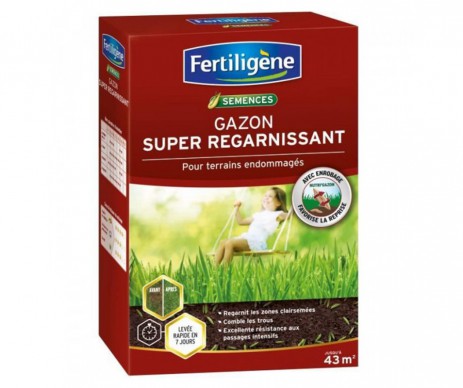 GAZON SUPER REGARNISSANT 43M2