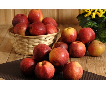 POMMES DALINETTE SAC DE 5KG