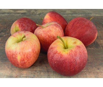 POMMES ROYAL GALA SAC DE 5KG