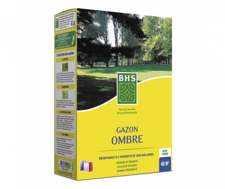 GAZON OMBRE 1KG