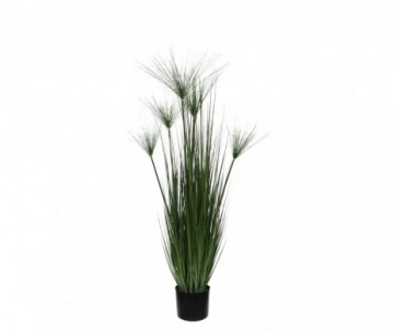 PAPYRUS /POT VERT H127XD17CM