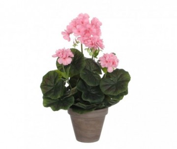 GERANIUM ROSE - H34XD20CM