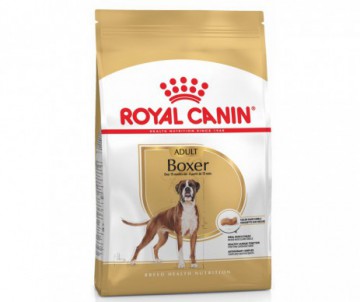 CROQUETTES BOXER ADULT 12KG ROYAL CANIN