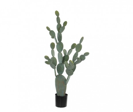 CACTUS POT PLAST VERT H145D65
