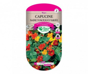 CAPUCINE NAINE TOM POUCE VARIE