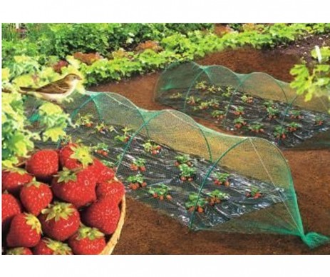 FILET PROTECTION OISEAUX  5M DE LARGE PAR 10 M DE LONG