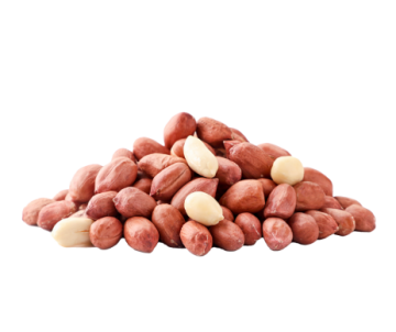 ARACHIDES PELEES SAC DE 4KG