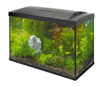 AQUARIUM SUPERFISH START 70 TROPICAL KIT