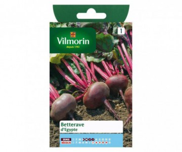 BETTERAVE ROUGE D'EGYPTE VILMORIN