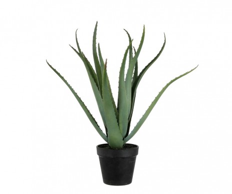 ALOE VERA POT PLAST VERT H46CM