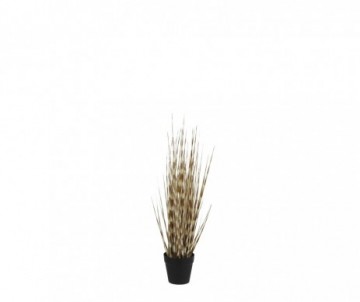 HERBE DE L'OIGNON POT H53CM